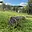 Prodej stavební parcely 1 536 m² Bojkovice Bzová