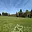 Prodej stavební parcely 8 869 m² Soběšice