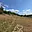 Prodej stavební parcely 4 773 m² Petrovice u Sušice Pařezí