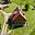 Prodej stavební parcely 1 253 m² Česká Rybná