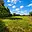 Prodej stavební parcely 2 032 m² Holice