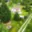 Prodej chalupy 92 m² Chlumec nad Cidlinou IV, Spravedlnost