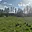 Prodej stavební parcely 3 500 m² Dětřichov
