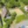 Prodej chaty 40 m² Chocerady