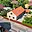 Prodej rodinného domu 160 m² Mikulovice Blato