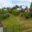 Prodej zahrady 472 m² Tachov