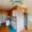 Prodej bytu 3+1 74 m² Chomutov, Jiráskova