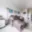 Prodej bytu 2+kk 43 m² Praha Písnice, Na okruhu