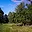Prodej stavební parcely 7 684 m² Velemín Milešov