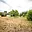 Prodej stavební parcely 1 570 m² Sepekov