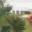 Prodej stavební parcely 1 500 m² Paběnice