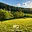 Prodej louky 2 467 m²
