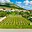 Prodej stavební parcely 937 m² Pavlov