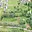 Prodej stavební parcely 1 163 m² Cizkrajov Dolní Bolíkov