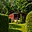 Prodej chaty 32 m² Krouna Rychnov