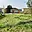 Pronájem zahrady 763 m² Tachov, Na Třešňovce