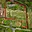 Prodej chalupy 110 m² Mochtín Srbice