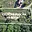 Prodej stavební parcely 3 600 m² Lomnička