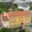 Prodej rodinného domu 975 m² Brno Maloměřice, Franzova