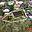 Prodej stavební parcely 588 m² Bělá pod Bezdězem, Polní