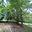 Prodej louky 1 547 m² Olbramice Janovice