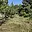 Dražba stavební parcely 721 m² Brno Židenice, Slatinská