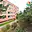 Pronájem bytu 2+kk 40 m² Beroun Beroun-Město, Košťálkova