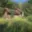 Prodej chaty 62 m² Chuchelna