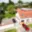 Prodej rodinného domu 200 m² Držovice, SNP
